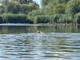 Mainschwimmen Juni 2026